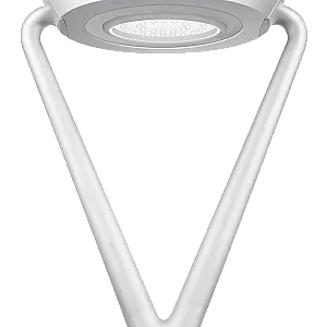 Venus M 