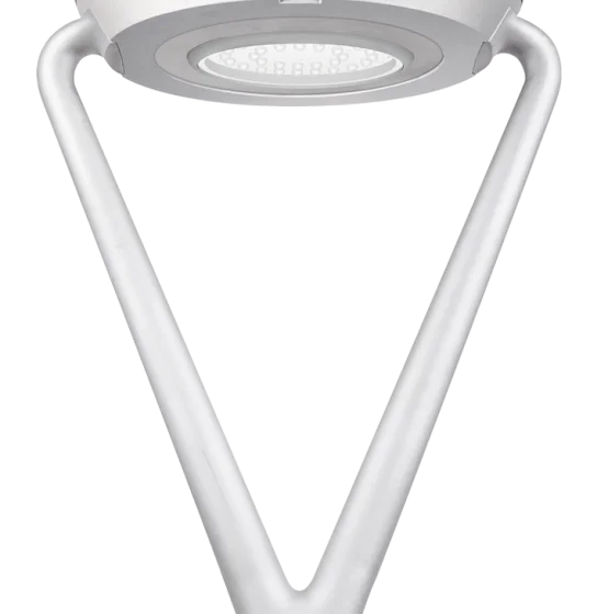 Venus M 