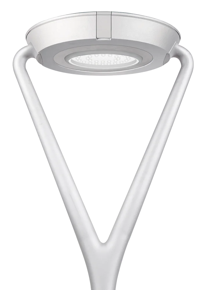 Venus M 