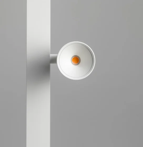 ZEN-X