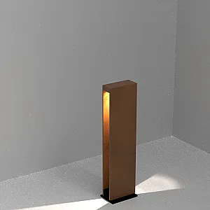 RAY