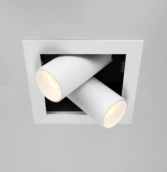 Downlight Magnum