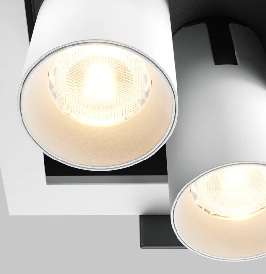 Downlight Magnum