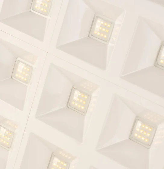 SLC Focus 600x600 