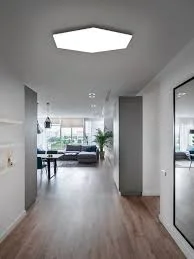 Hexa Ceiling 1000