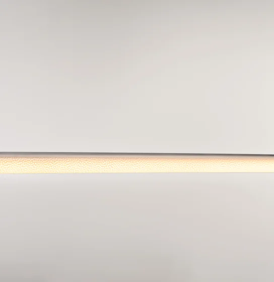LENE TUBE