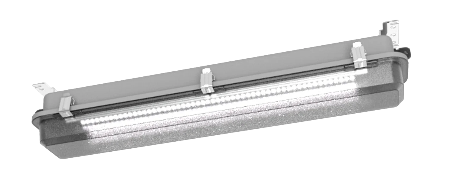 EXF300LED